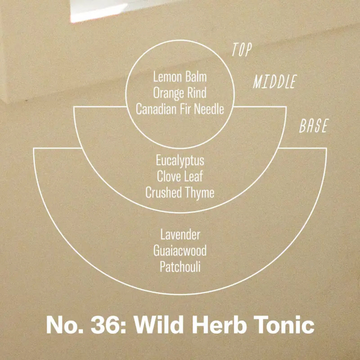 Standard Candle Wild Herb Tonic