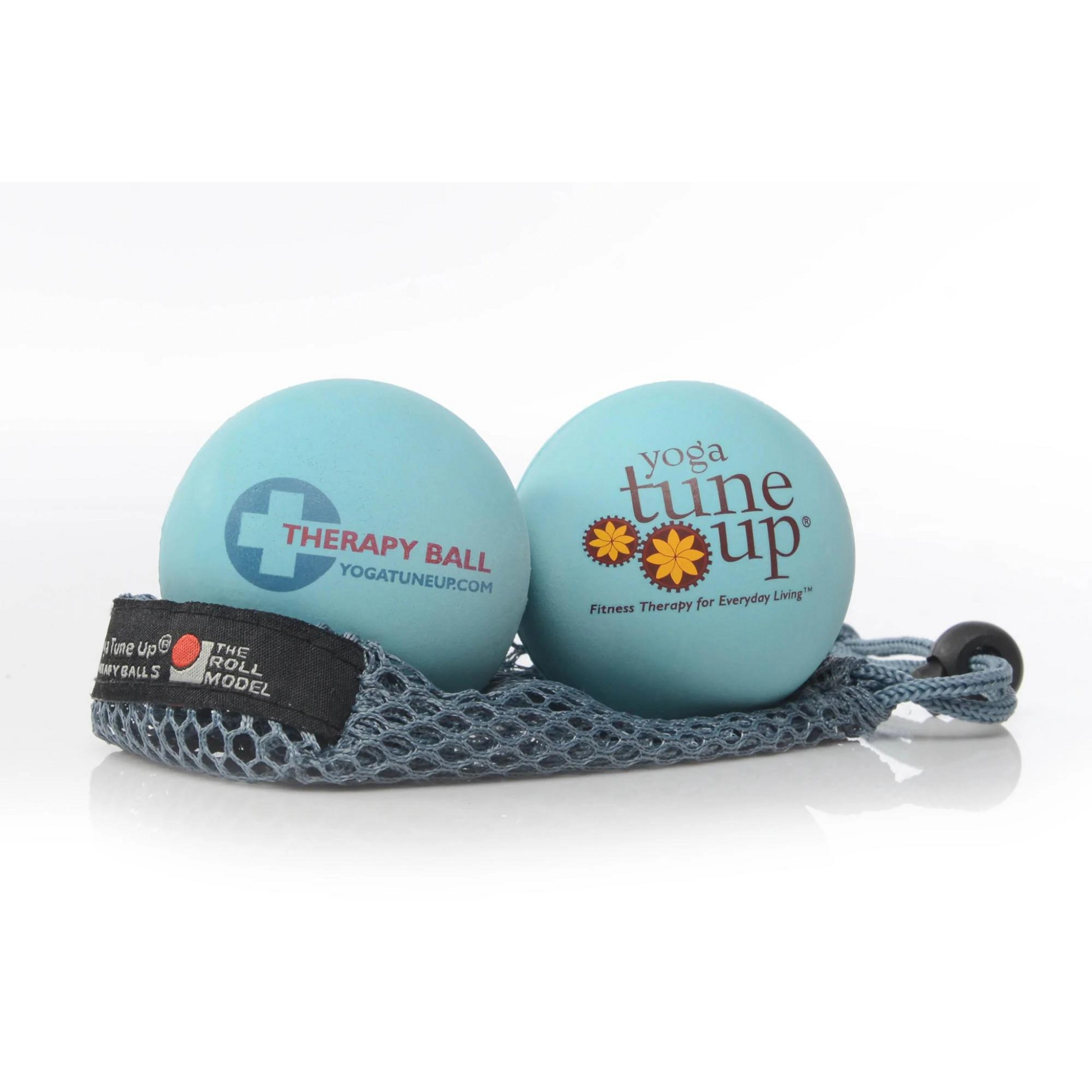 two sky blue therapy balls that read "Therapy Ball yogatuneup.com" and "Yoga Tune Up Fitness Therapy for Everyday Living" sitting on top of a grey mesh carrying bag